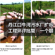 丹江口牛河污水厂扩容工程环评批复：一个朋友的故事让我想通的事（图3）