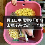 丹江口牛河污水厂扩容工程环评批复：一个朋友的故事让我想通的事
