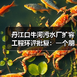 丹江口牛河污水厂扩容工程环评批复：一个朋友的故事让我想通的事（图4）