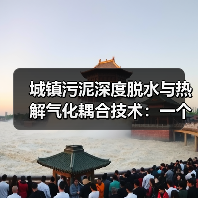 城镇污泥深度脱水与热解气化耦合技术：一个实战者的真实看法（图3）