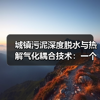 城镇污泥深度脱水与热解气化耦合技术：一个实战者的真实看法