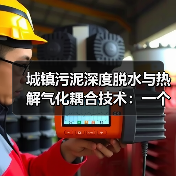 城镇污泥深度脱水与热解气化耦合技术：一个实战者的真实看法（图4）