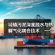 城镇污泥深度脱水与热解气化耦合技术：一个实战者的真实看法（图2）