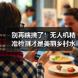 别再瞎搞了！无人机精准检测才是美丽乡村水环境调控的王炸（图4）