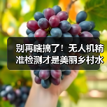 别再瞎搞了！无人机精准检测才是美丽乡村水环境调控的王炸（图3）