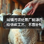 城镇污泥处理厂能源自给低碳工艺，不靠补贴也能活