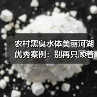 农村黑臭水体美丽河湖优秀案例：别再只顾着往上报材料了，奖牌到手后的水，真的干净了吗？（图2）