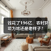 钱花了196亿，农村环境为啥还是老样子？（图3）