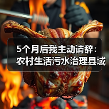 5个月后我主动请辞：农村生活污水治理县域一县一公司统筹管理制度建立的教训（图2）