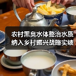 农村黑臭水体整治水质纳入乡村振兴战略实绩考核：一个理性观察（图2）