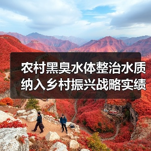 农村黑臭水体整治水质纳入乡村振兴战略实绩考核：一个理性观察（图3）