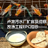 卢龙污水厂扩容及提标改造工程EPC招标——一个观察者的冷思考