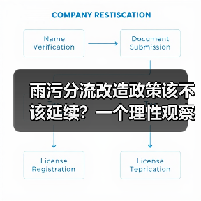 雨污分流改造政策该不该延续？一个理性观察（图2）