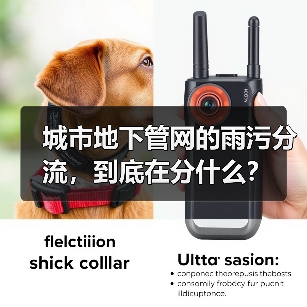城市地下管网的雨污分流，到底在分什么？（图2）