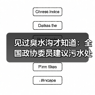 见过臭水沟才知道：全国政协委员建议污水处理水环境资金支持有多迫切（图4）