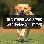 两会代表建议加大市政设备更新资金，这个缺口到底有多大？