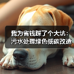 我为省钱踩了个大坑：污水处理绿色低碳改造推动减排降碳（图2）