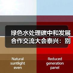 绿色水处理碳中和发展合作交流大会泰兴：别被大会忽悠了