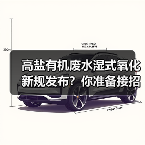 高盐有机废水湿式氧化新规发布？你准备接招了吗？（图4）