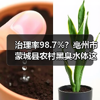 治理率98.7%？亳州市蒙城县农村黑臭水体这事儿，我给你说点实在的