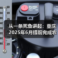 从一条死鱼讲起：重庆2025年6月提前完成农村黑臭水体全域动态清零，我的一些亲身感受和发现（不黑不吹）（图3）