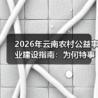 2026年云南农村公益事业建设指南：为何特事特办总捅娄子，一事一议才管用（图4）