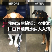 我踩坑后搞懂：农业源排口养殖污水纳入入河排污口严格监管（图4）