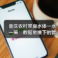 重庆农村黑臭水体一水一策：数据思维下的管理实验（图2）