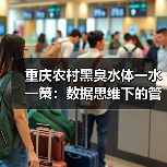 重庆农村黑臭水体一水一策：数据思维下的管理实验