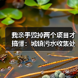 我亲手毁掉两个项目才搞懂：城镇污水收集处理效能提升两重资金支持政策到位（图3）