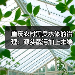 重庆农村黑臭水体的治理：源头截污加上末端利用（图4）
