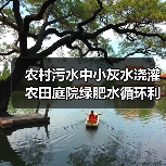 农村污水中小灰水浇灌农田庭院绿肥水循环利用，你还在瞎折腾？（图4）