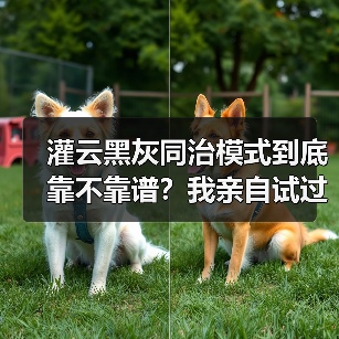 灌云黑灰同治模式到底靠不靠谱？我亲自试过，给你说个大实话（图4）