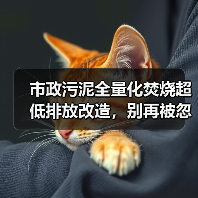 市政污泥全量化焚烧超低排放改造，别再被忽悠了（图3）