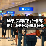 城市污泥能不能当肥料用？重金属累积风险得先算清楚（图4）