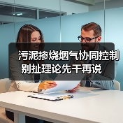 污泥掺烧烟气协同控制别扯理论先干再说（图4）