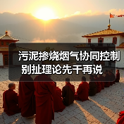 污泥掺烧烟气协同控制别扯理论先干再说（图3）