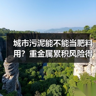 城市污泥能不能当肥料用？重金属累积风险得先算清楚