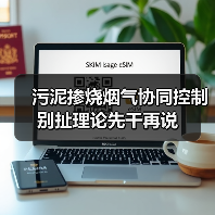 污泥掺烧烟气协同控制别扯理论先干再说