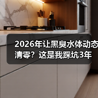 2026年让黑臭水体动态清零？这是我踩坑3年后总结的终极解法