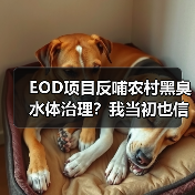 EOD项目反哺农村黑臭水体治理？我当初也信了（图2）