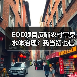 EOD项目反哺农村黑臭水体治理？我当初也信了（图3）
