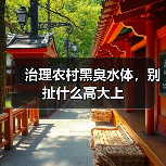 治理农村黑臭水体，别扯什么高大上（图4）