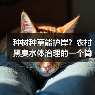 种树种草能护岸？农村黑臭水体治理的一个简单办法