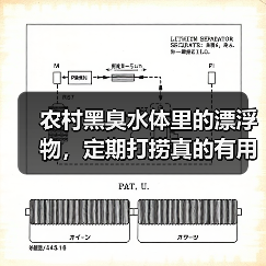 农村黑臭水体里的漂浮物，定期打捞真的有用吗？（图2）