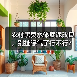 农村黑臭水体底泥改良，别扯曝气了行不行？（图3）