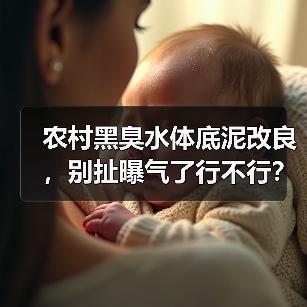 农村黑臭水体底泥改良，别扯曝气了行不行？（图4）