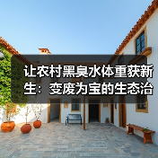 让农村黑臭水体重获新生：变废为宝的生态治理
