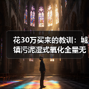 花30万买来的教训：城镇污泥湿式氧化全量无害化处置技术靠谱吗？（图3）