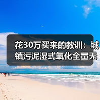 花30万买来的教训：城镇污泥湿式氧化全量无害化处置技术靠谱吗？（图4）